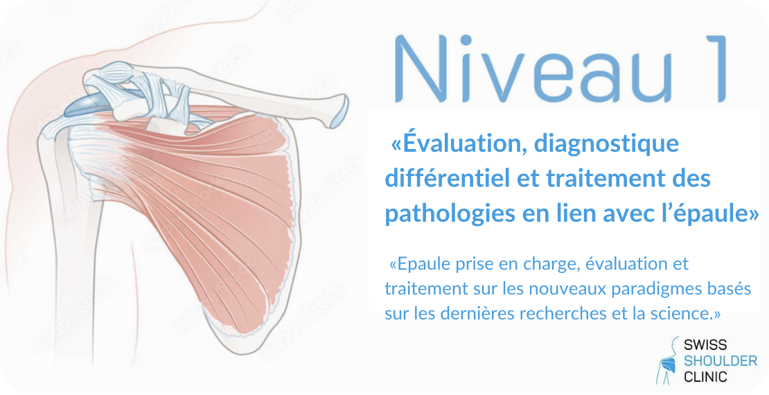 Épaule — Niveau 1
